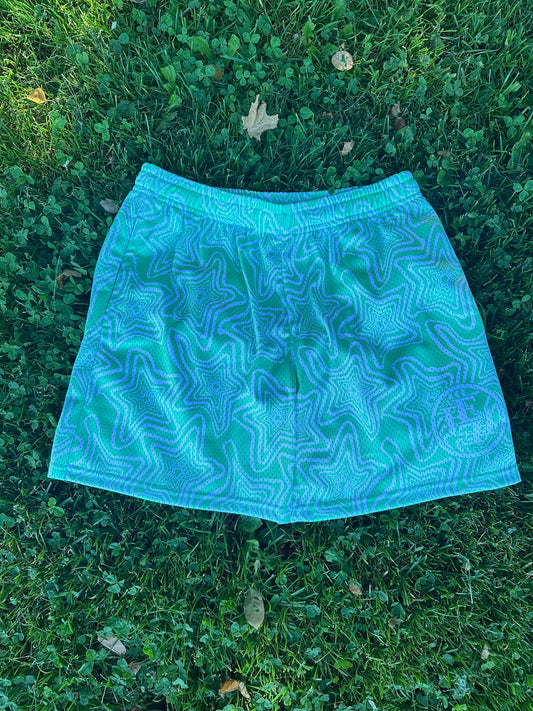 Mesh Shorts (GRN)