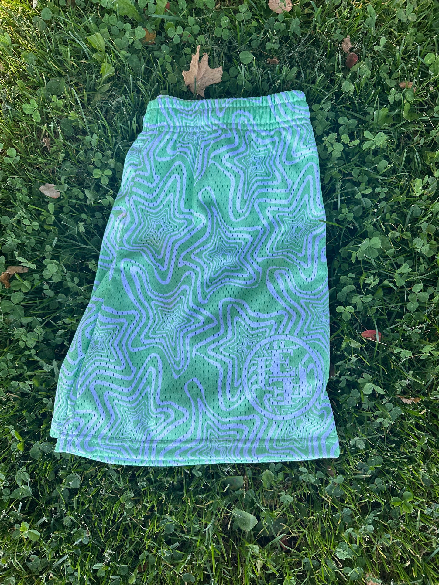 Mesh Shorts (GRN)