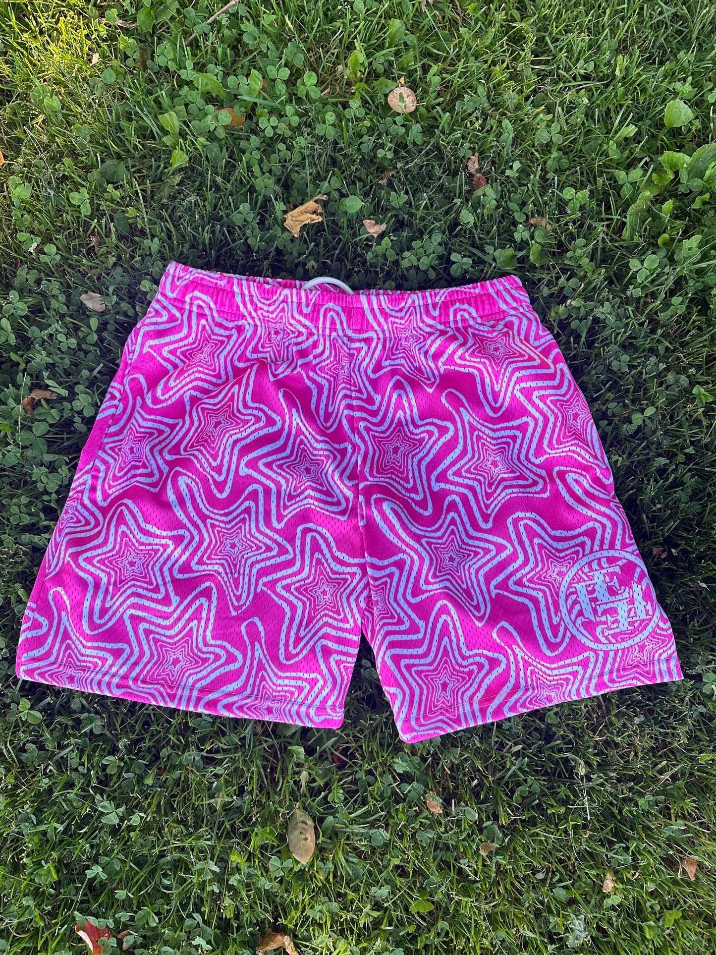 Mesh Shorts (PNK)